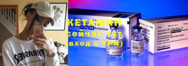 индика Козельск