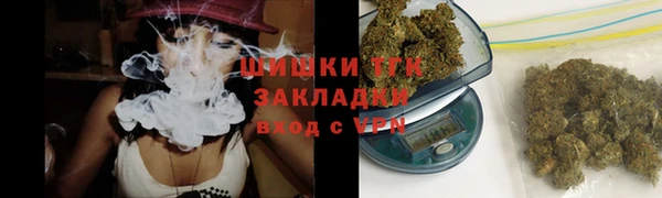 индика Козельск