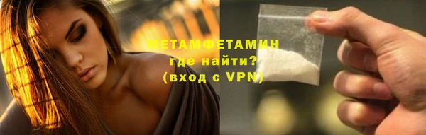 индика Козельск