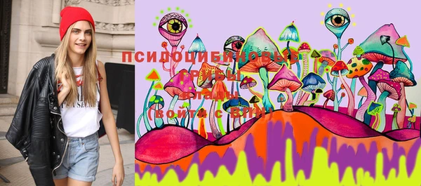 apvp Козловка