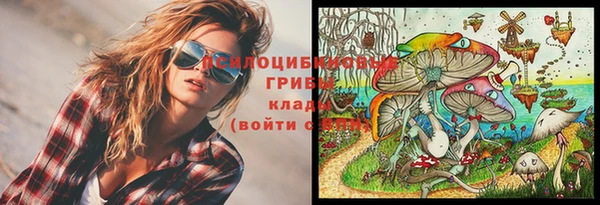 ALPHA-PVP Коряжма