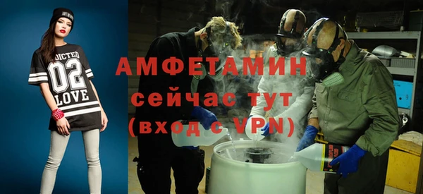 индика Козельск
