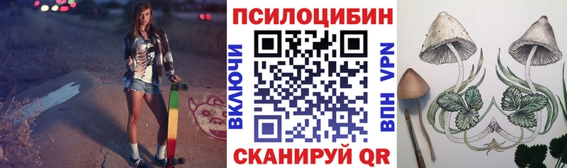 Купить где  Туймазы  Псилоцибиновые грибы Psilocybe 